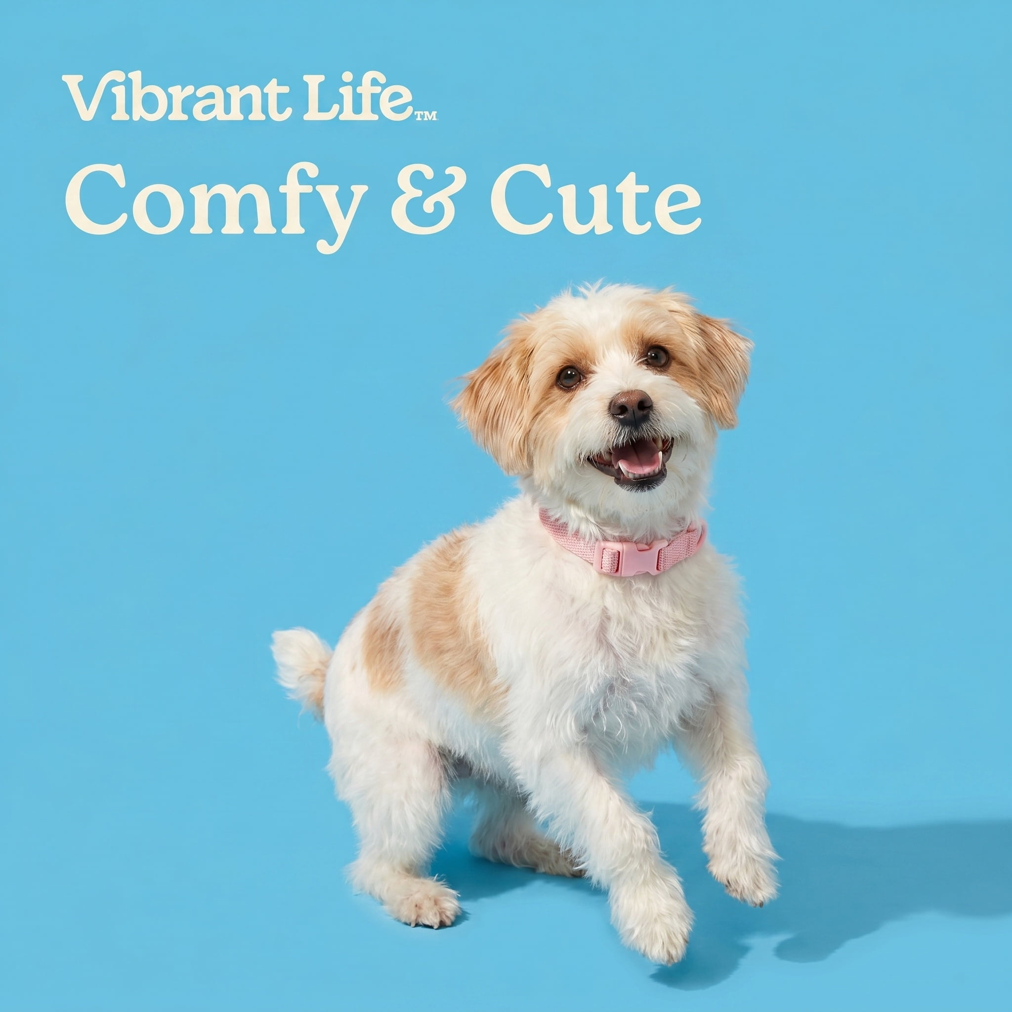 Vibrant Life Neoprene Cushioned Adjustable Dog Collar, Soft Pink, S