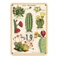 thumbnail image 2 of Succulents Perpetual Calendar, 2 of 3