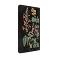 thumbnail image 2 of Wild Apple Portfolio 'Salvia Florals I on Black' Canvas Art, 2 of 4