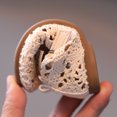 thumbnail image 6 of AUDeals Girls Closed Toe Crochet Lace Mary Jane Flats Breathable Summer Flat Shoes Casual Dress Footwear (Beige, 2-2.5Years), 6 of 9