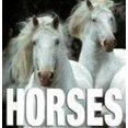 thumbnail image 1 of MINI CUBE: HORSES WHITE STAR GABRIELE BOISELLE, 1 of 1