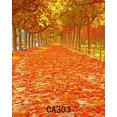 thumbnail image 2 of BSDHOME Polyester 5x7ft Seamless Photography Backdrops Nature Autumn Fall Leaves Scene Portraits Photo Backgrounds Studio Props CA303, 2 of 3