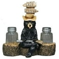 thumbnail image 2 of Ebros Western Papa Bear With Shotgun Salt And Pepper Shakers Holder Figurine, 2 of 4