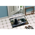 thumbnail image 2 of On The Tailgate Labrador and Springer Spaniel Door Mat, 2 of 4