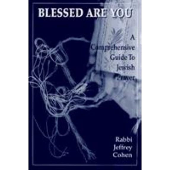 Pre-Owned Blessed Are You: A Comprehensive Guide to Jewish Prayer (Paperback) 0765759748 9780765759740