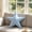 B, variant on Hovilon Light Blue Nautical Fish Shaped Throw Pillow Set, Soft Velvet Marine Animal Decorative Cushions for Sofa Bed Beach House, Coastal Starfish Seashell Seahorse Accent Pillows, 14 Inch