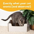 thumbnail image 3 of Hide & Scratch: XL Heavy Duty Cardboard Cat Scratcher Bed with Refillable Scratch Pad (Light Grey Diamond), 3 of 9