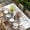 Grey Brown, variant on Rabbits Pine Cone Table Cloths for 6 Foot Rectangle Tables, Sweet Home Texture Brown Leaves Berries Patio Waterproof Elastic Fitted Tablecloths, Washable Rectangular Table Cover for Camping