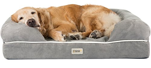 walmart dog beds extra large