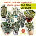 thumbnail image 4 of Planta artificial decorativa moderna con maceta Artego 100cm de alto, 4 of 9