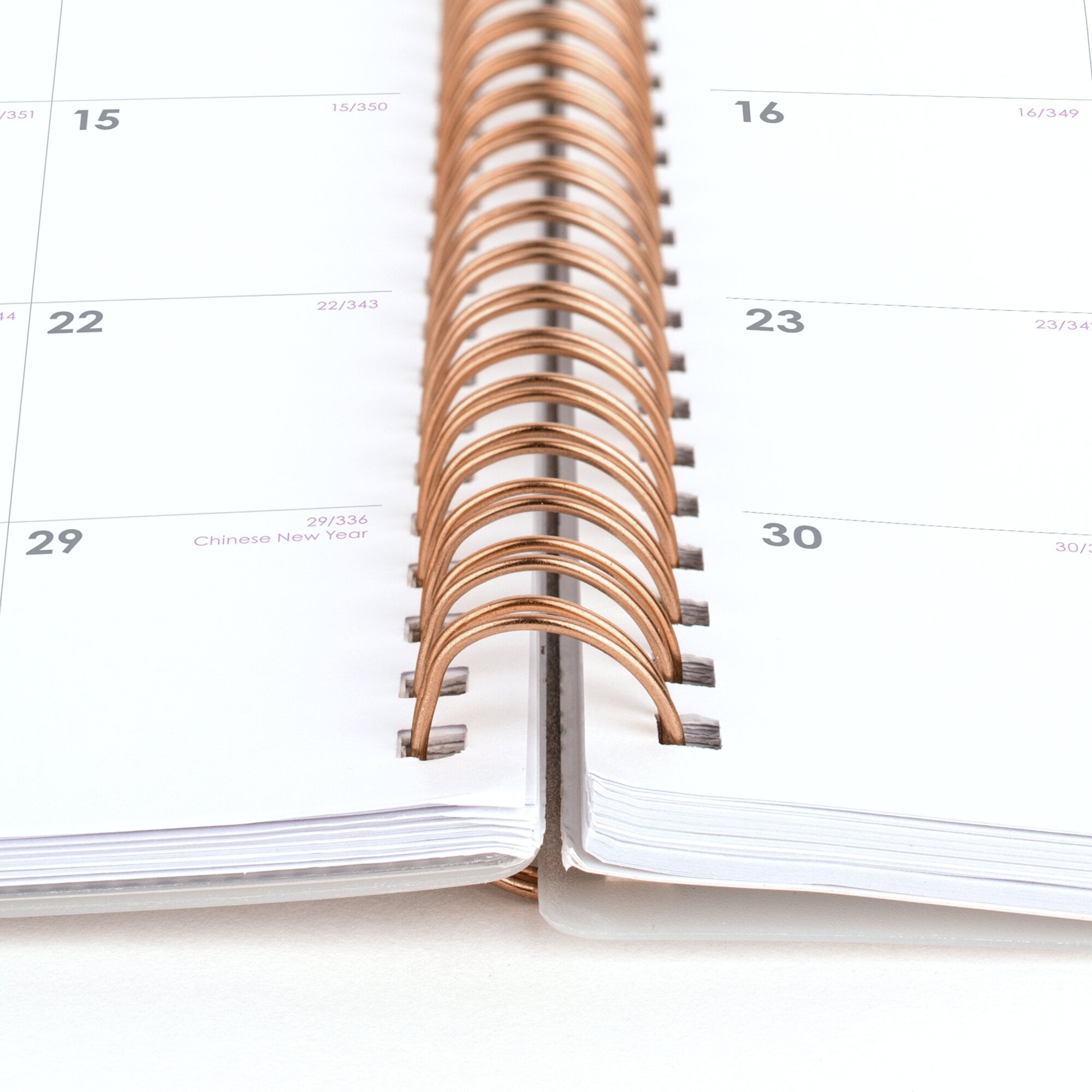 Cambridge Mina 2025 Weekly Monthly Planner Large 8 12 x 11 - Planners