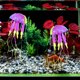 thumbnail image 4 of BESTYASH 3Ud Medusas De Silicona Decorativas Para Acuario Ornamentación Artificial Colorida, 4 of 7