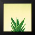 thumbnail image 2 of Bradley, Felicity 12x12 Black Modern Framed Museum Art Print Titled - Succulent Simplicity V, 2 of 5