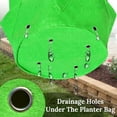 thumbnail image 4 of SUNNYOUTDOOR 10 Gallon Garden Strawberry Planter Strawberry Grow Bags Large Breathable Grow Bags for Fruits, Flower, Vegetables, Non-Woven Fabric Bag with Handles (5 Pack), 4 of 4