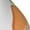 2 Black-1, variant on Vegan Fruit Carrot for Women Casual Calf Socks - Cute Crew Socks - Thin Soft Above Ankle Socks Size 5-11