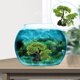 thumbnail image 1 of Greenadscape Accesorios Para Acuario Con Artificiales Realistas Para Y Refugio, 1 of 5
