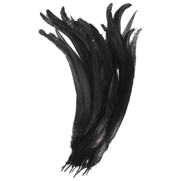 Uxcell 14-16 Inch Rooster Feathers, 20 Pack Bulk Natural Feathers for Crafts Style 1, Black