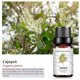 thumbnail image 4 of Hot6sl Ofertas de La Semana Paracetamol Alivia 10 Ml Cajeput, 4 of 7