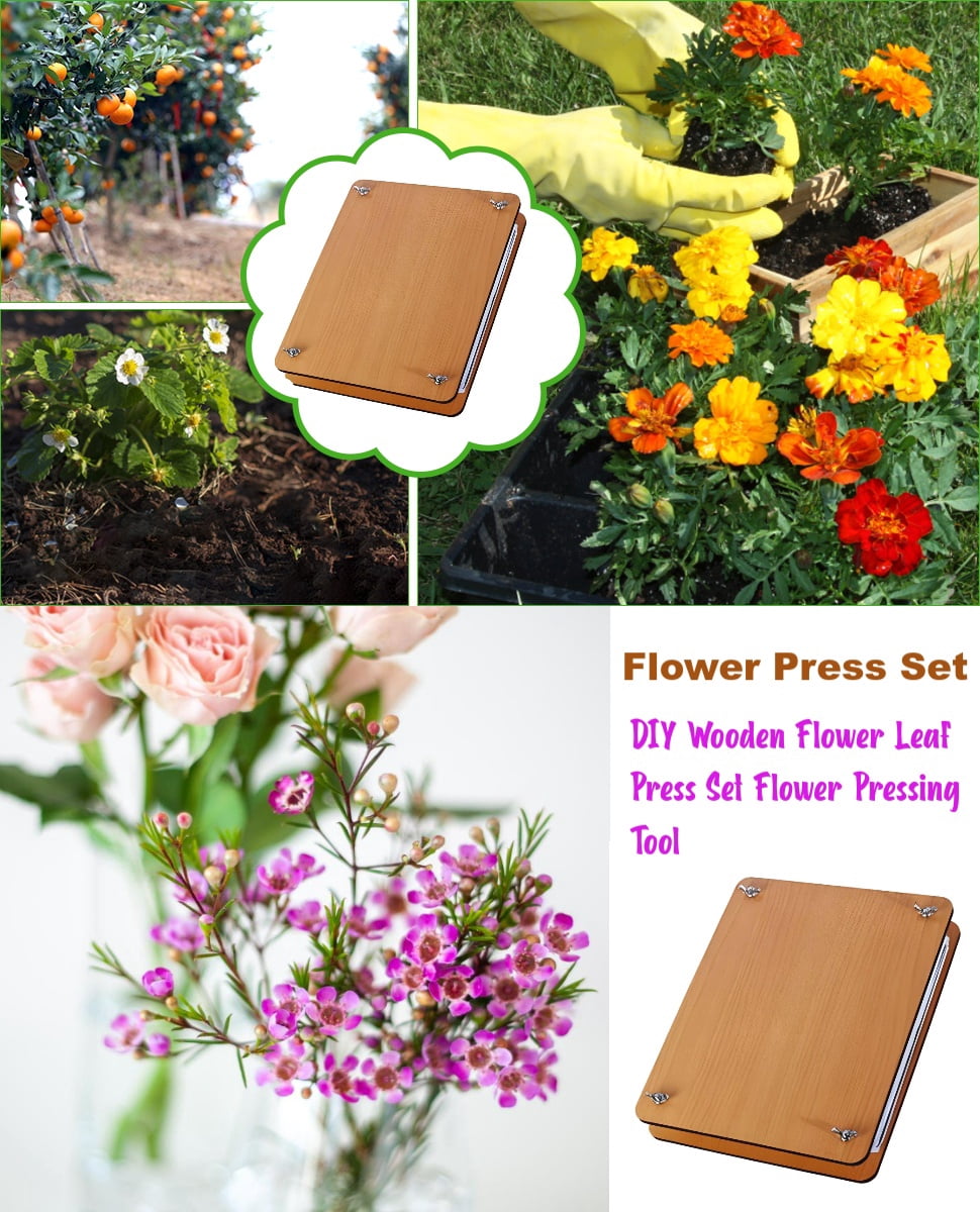 Abbraccia Press Flower Book, DIY herbarium, 9.45 x 7.09 Inches Arts Crafts Leaf Pressing Book, Tools for Photo Artworks Bookmarks