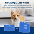 thumbnail image 4 of PetSafe® ScoopFree Premium Fresh Scent Crystal Litter, 6-Pack – Includes 6 Bags of Lightly Scented Litter – Absorbs Odors 5x better than Clay Clumping – 4.3lb each bag, 4 of 7