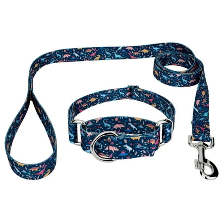 Country Brook Petz® Dinosaurs Martingale Dog Collar and Leash 2XS