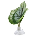 thumbnail image 2 of Cama Betta, Hamaca de Hoja Betta Hamaca de Hoja Betta Verde Almohadilla de Hoja de Pez Betta Diseño de Clase Mundial Jadeshay  A, 2 of 8