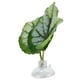 thumbnail image 2 of Almohadilla de hoja de pez Betta, hamaca de hoja Betta, hamaca verde de hoja Betta, almohadilla de hoja de simulación de pez, acabado de lujo, 2 of 8