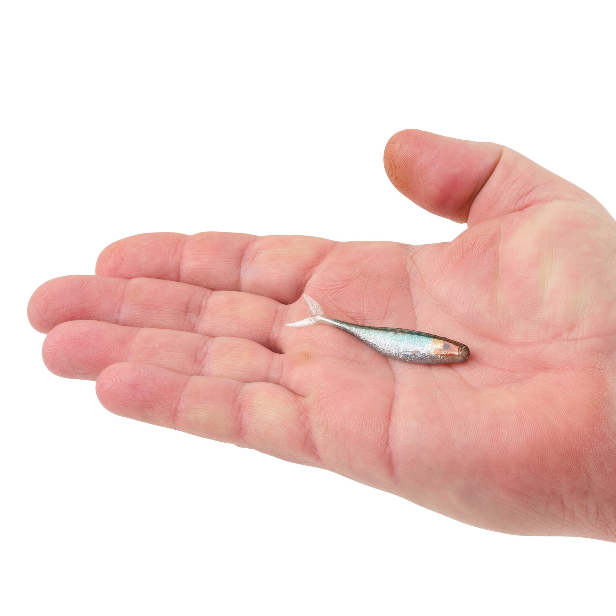 Berkley PowerBait® The Champ Minnow, 2.5 in, Minnows, HD Stealth Minnow (10 Count)