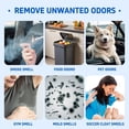thumbnail image 4 of Glodway Car Air Freshener Spray, 3 Pack, 5oz Each, Odor Eliminator & Refresher, Green Tea, Tropical Fruit, Magnolia Scents, 4 of 8