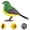 Green, variant on Battery Operated Realistic Singing Chirping Bird Toy With Motion Cute Interactive Simulation Bird For Kids Desk Decoration And Play (Sky Blue)