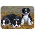 thumbnail image 1 of Carolines Treasures ASA2196LCB Border Collie Puppies Glass Large Cutting Board, 1 of 2