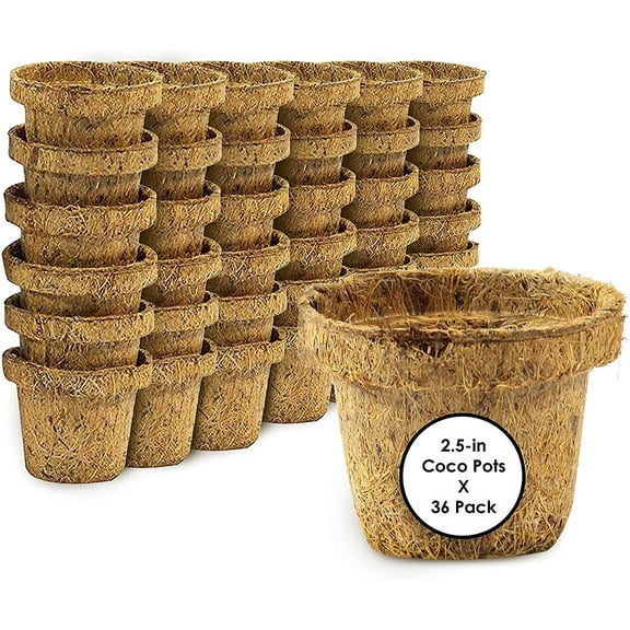 Envelor Coco Coir Plant Pots Seed Starter Tray Biodegradable Seed Starter Pots Coco Peat Pots Seedling Cups Small Plant Pots Germination Nursery Planting Tray Plant Starter Pots, 2.5 Inches 36 Pack