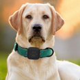 thumbnail image 6 of Pet Collar Case Silicone For Tile Mate Protective Dog Cat Cover, 6 of 10