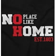 thumbnail image 2 of Ohio No Place Like Home OH Local Love Unisex Plus Fleece Graphic Hoodie Brisco Brands 2X, 2 of 5