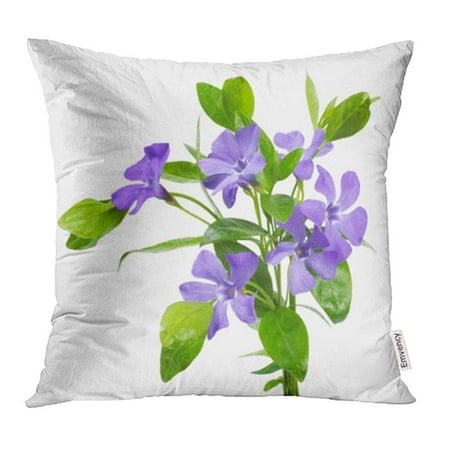 Flax Flower - ARHOME Green Flat Bouquet of Blue Periwinkle Vinca Minor White Purple Flower Herbal Pillowcase Cushion Cover 18x18 inch
