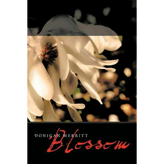 Blossom (Paperback)