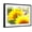 Black Frame, variant on Art.com Live Laugh Love: Sunflower Stretched Canvas Print Wall Art by Nicole Katano, 16" x 12"