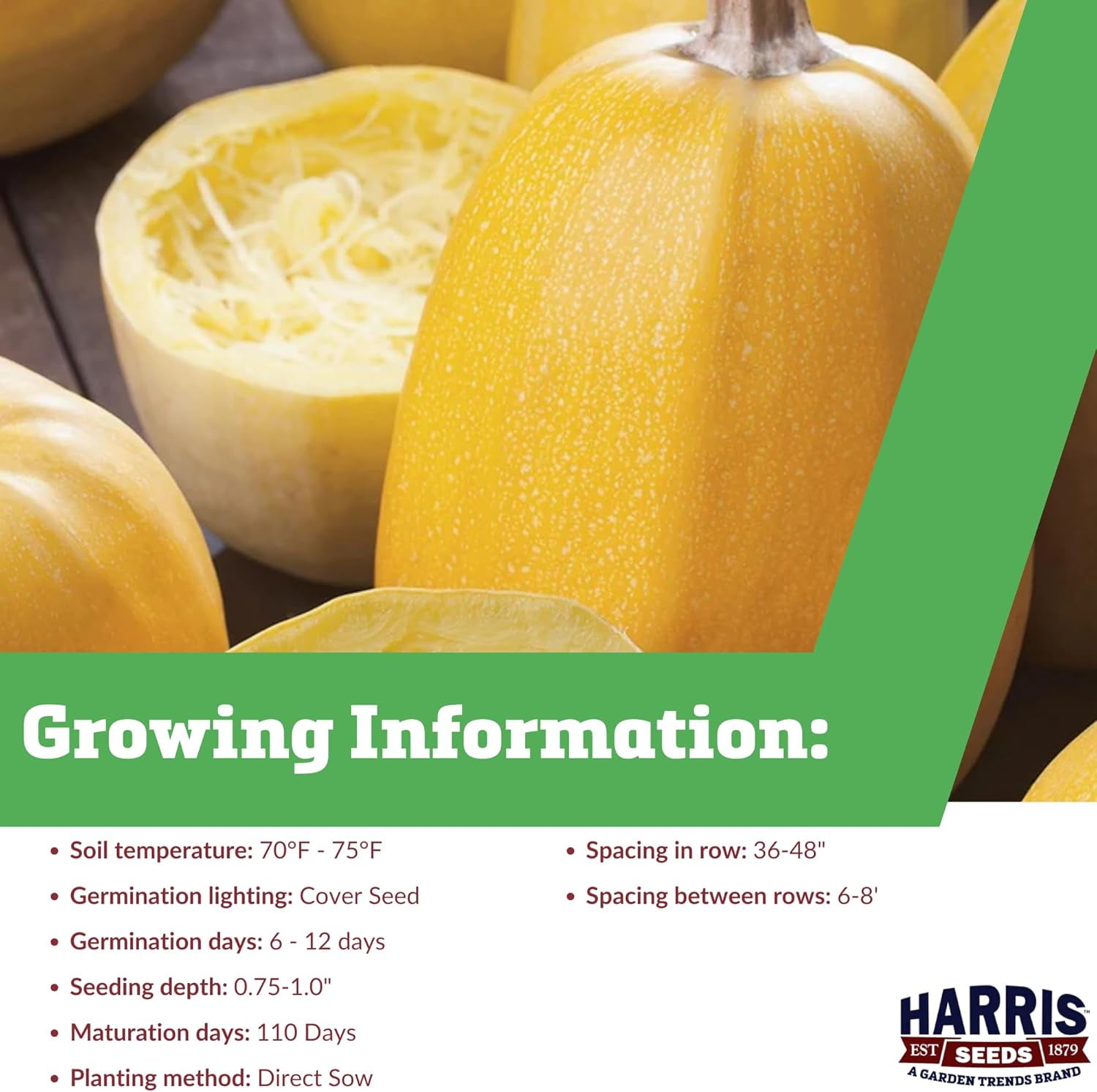 Harris Seeds Squash Spaghetti Seeds - Thumbnail 5