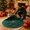Green, variant on Christmas Tree Blanket 31.5 Inch Hand-Woven Round Throw Blanket with Pom-Poms and Star Applique Soft Polyester Play Mat for Nursery Living Room Bedroom Holiday Decor