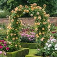 thumbnail image 3 of Flower Rack Iron Climbing Stand Black Metal Arches Holder Used For Wedding Banquets Quality Guarantee Floral Decoration, 3 of 4