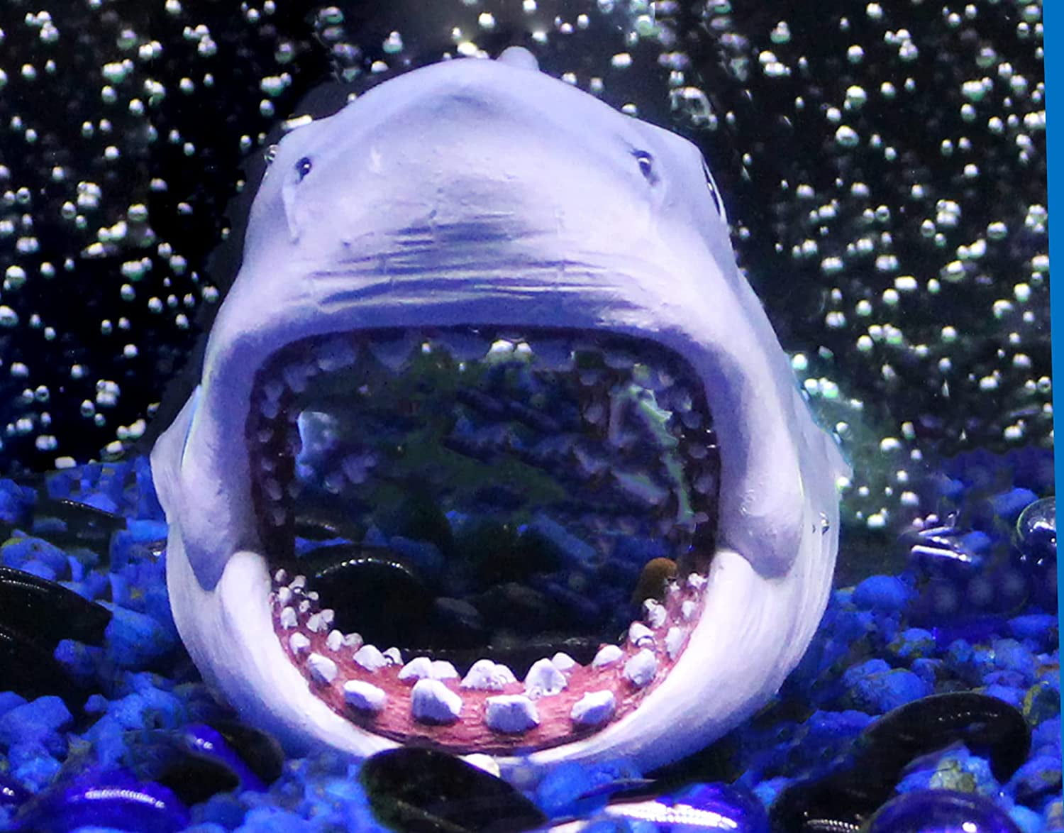 Shark clearance aquarium decorations