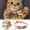A, variant on Adjustable Breakaway Cat Collar with Pendant for Small Cats Ideal for Parties and Everyday Use