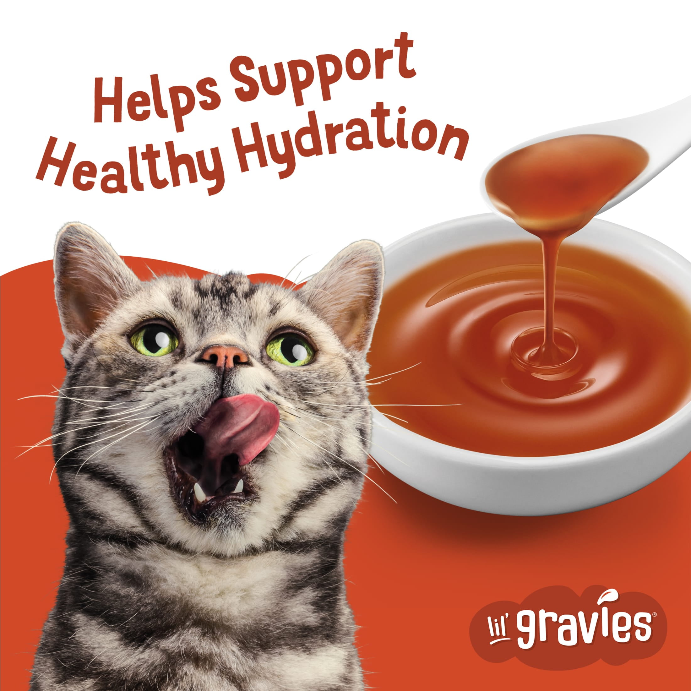 (6 pack) Purina Friskies Lil Gravies Roasted Chicken Flavor Gravy, Wet Cat Food, 1.55 oz. Pouch