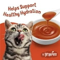 thumbnail image 3 of Purina Friskies Lil Gravies Roasted Chicken Flavor Gravy, Wet Cat Food, 1.55 oz. Pouch, 3 of 8