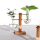 thumbnail image 2 of Soporte de para Florero de para Planta Hidropónica 2 Jarrones, 2 of 9