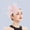 Pink, variant on GIJNRIUIUA Under $5 Fascinators Hats Sales 2026 Women's Headwear Elastic Mesh Headwear Flower Vintage Headwear Hat Artificial Mesh Hat Cocktail Tea Party Headwear Women's Hair Accessories