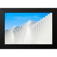 thumbnail image 2 of Della Latta, Massimo 18x13 Black Modern Framed Museum Art Print Titled - Il Ventaglio, 2 of 5