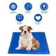 thumbnail image 4 of Petnation Tapete Refrescante Chico para Perros y Gatos, 4 of 5