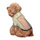 thumbnail image 5 of Balery Hardwood Sudadera con Capucha para Perros Pequeños – Ropa para Mascotas, Disfraz para Perros y Gatos, Ideal para Fiestas y Cosplay-XX-Large, 5 of 7