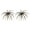 B, variant on Riguas 2Pcs 6CM/1.9G Soft Sea Urchin Lure with Swimming Skirts Colorful Artificial Bait Saltwater Freshwater Bass Trout Snakehead Fishing Accessories